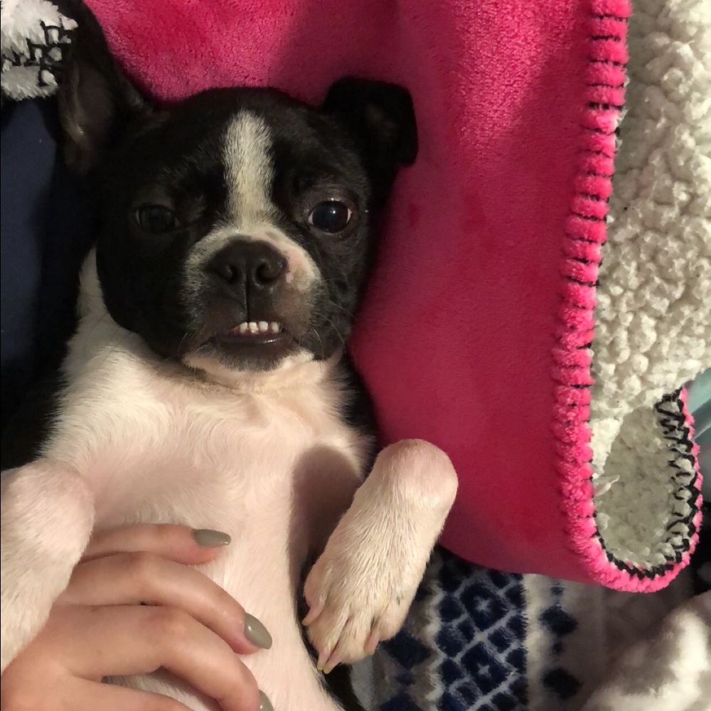 Meet your Posher, Amanda